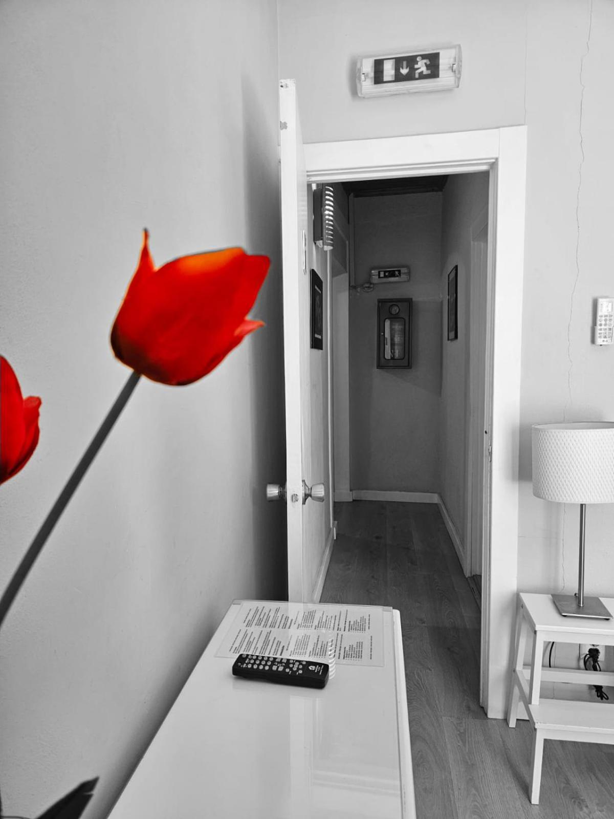 Alcamim Guesthouse Elvas Exteriör bild